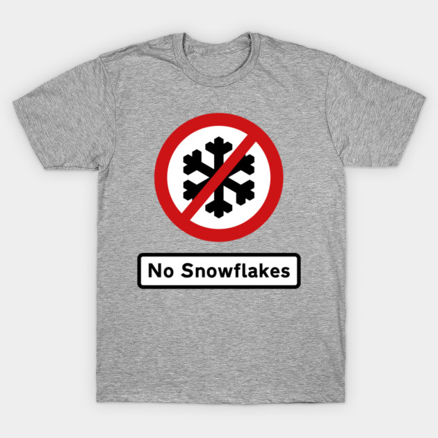 British Road Sign – No Snowflakes